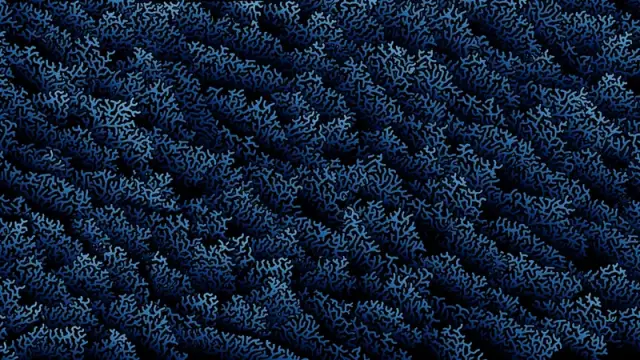 Coral Blue, design pinea