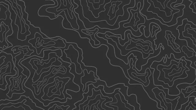 Topographic Black, design pinea